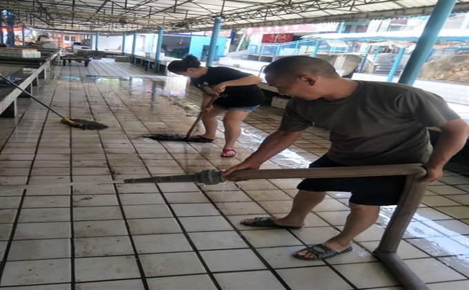 生活服務公司第一黨支部開展陶家渡農貿市場衛生整治活動