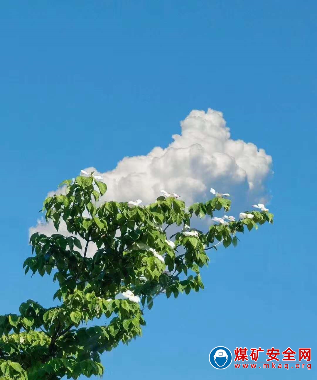 藍藍的天，幹淨的像湖水一樣