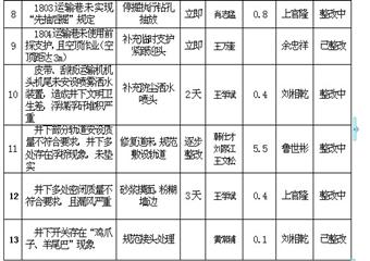 畢節市楊家灣煤礦礦井安全檢查存在問題整改工作方案