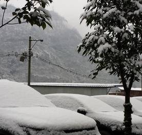 雪 劉躍紅攝影作品