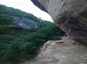 嚴振中：太子寺遊記