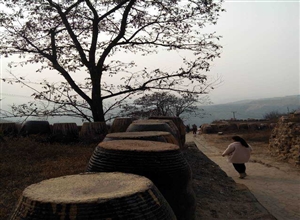 帖瑛:孫鎮重泉古城—澄城堯頭窯遺遊之印象