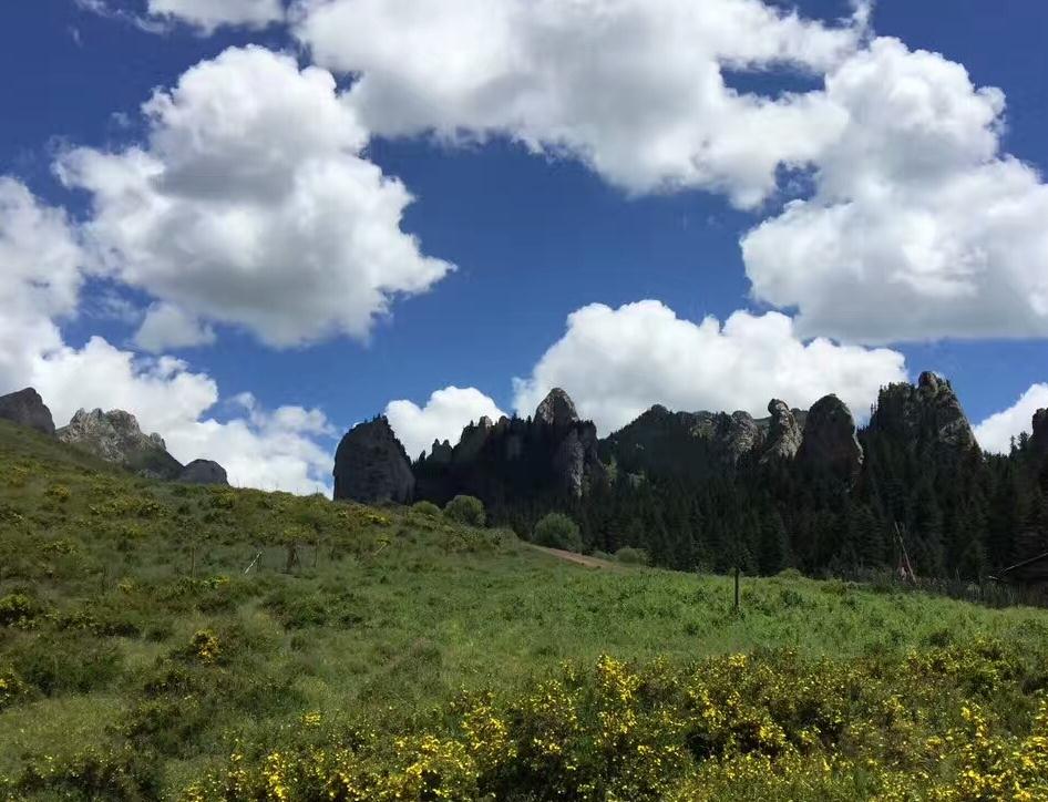 藍天 白雲 草地