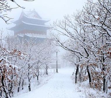 春雪蘊意 張靈雲攝影作品