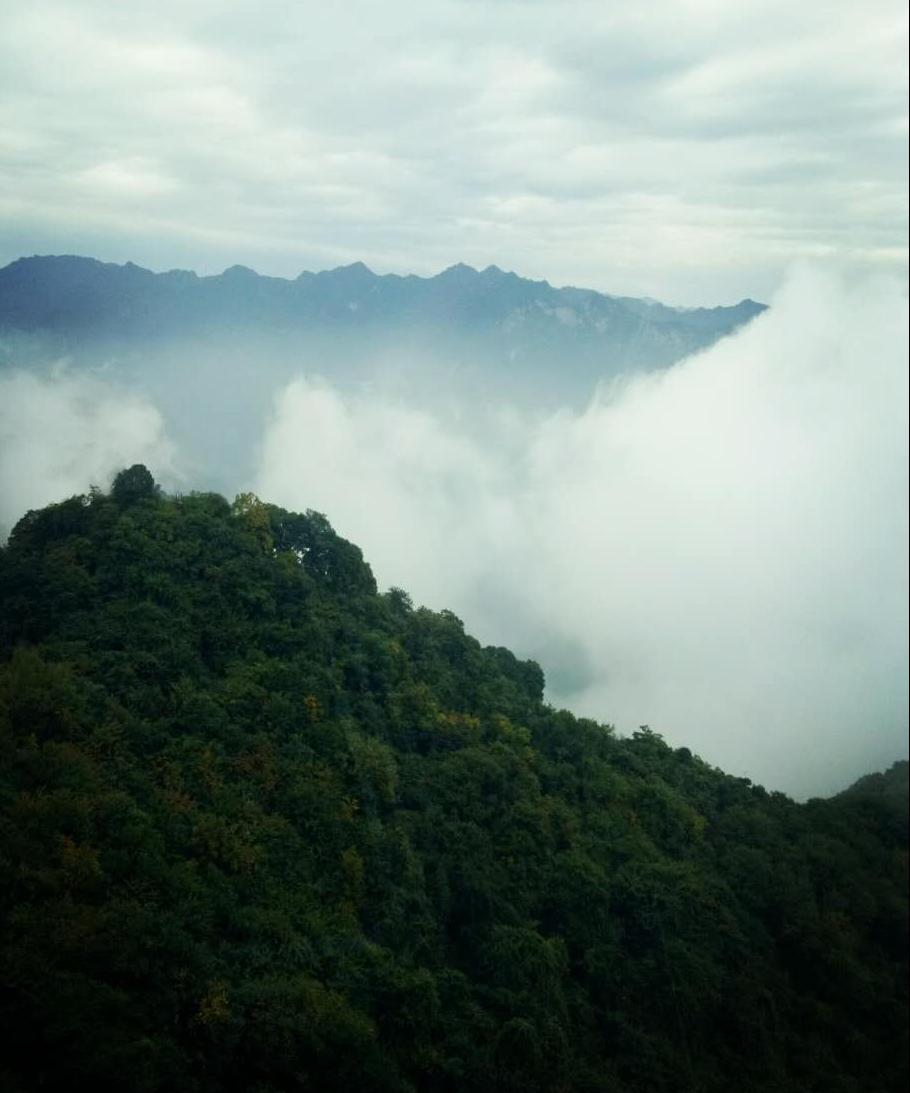 青山迷霧-唐雪靜-董家河社區