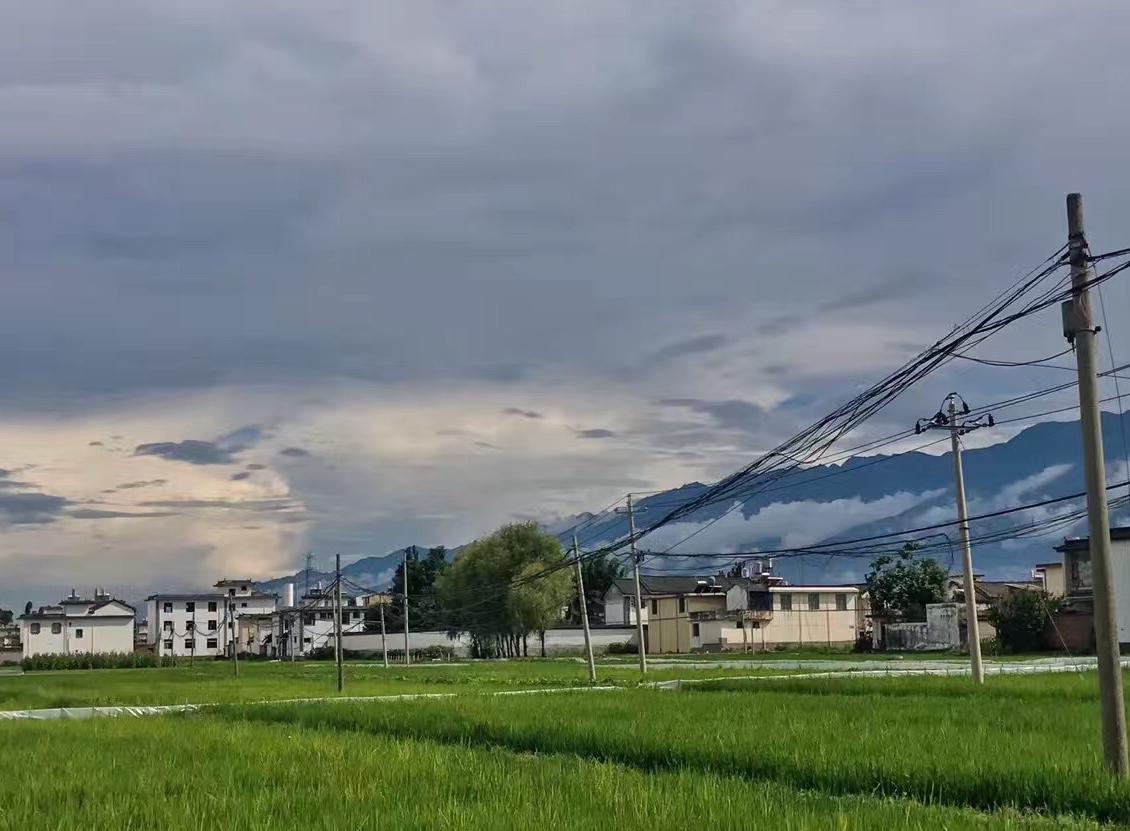 旭日東升 作者：何建民