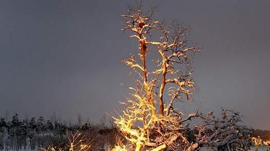 冰雪景色.