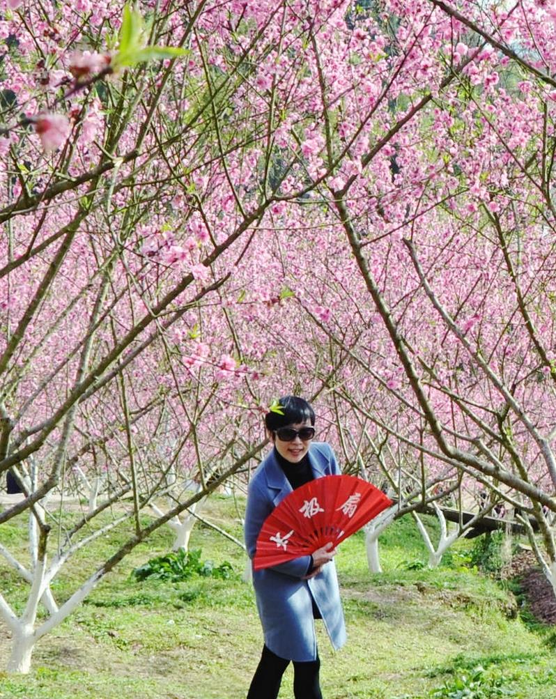 人麵桃花相映紅