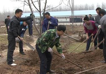 株柏煤礦初春時節植樹忙