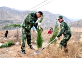 陝煤化澄合鐵運分公司陽春三月植樹忙