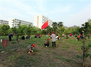 “小紅帽”積極行動美化礦山