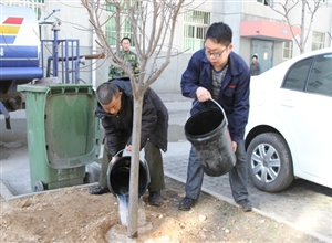 “見縫插綠”美化社區 王村社區植樹忙