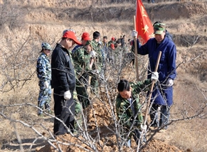 陝煤化澄合鐵運分公司幹部職工參加義務植樹活動