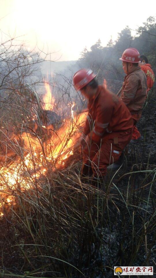 廣能救護大隊一中隊成功撲滅李子埡老炸藥庫山火