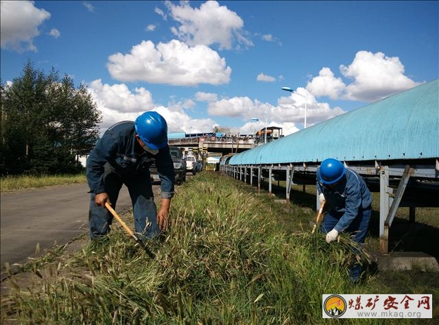 神華勝利能源公司儲運公司開展“除雜草 消隱患”活動保安全生產