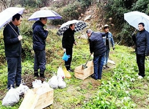 川煤達竹石板廠 節前處理危爆物品