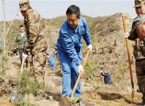 西山煤電集團機關在西銘北山植樹1500株、綠化2000平米