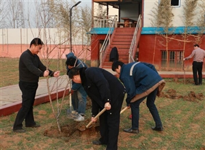 泗河煤礦美化礦區植樹忙