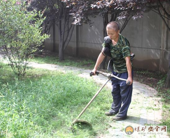 陝煤王村社區修剪植被草坪 扮靚綠色風景線喜迎黨的十九大召開