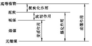 <font color='#1938e5'>煤田地質基礎知識--礦業大學教材</font>