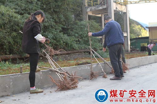 觀文煤礦積極創建美麗和諧礦區