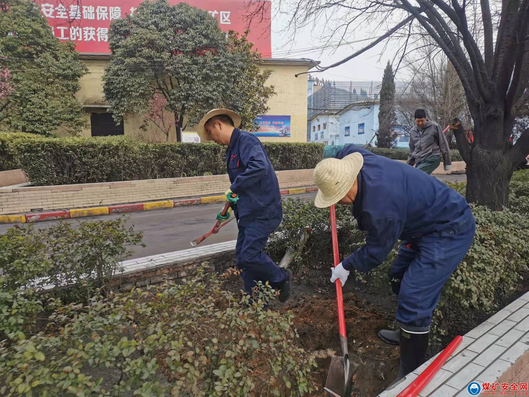 植一抹新綠，守礦區一片淨土