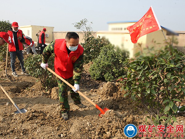 修剪除雜增顏值、樹木移植搬新家——全國第44個植樹節來臨這個礦這樣做