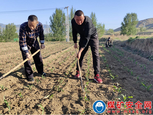 山風清涼人心暖 ——晉能控股煤業集團燕子山礦駐村幫扶工作穩紮穩打