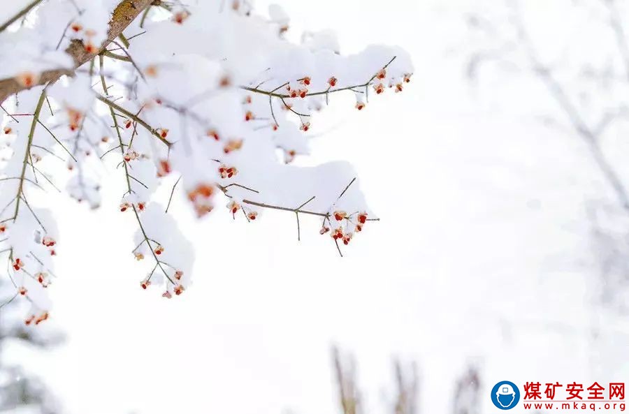 陝西中能煤田有限公司瑞雪開春