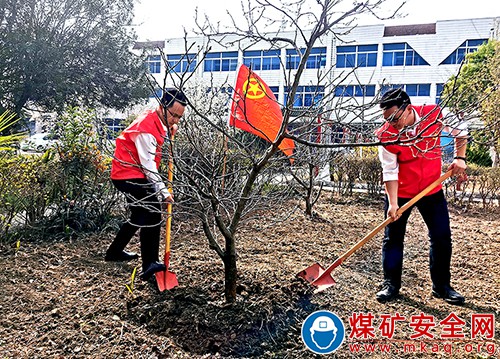 中煤新集地勘公司：開展“春來礦山”義務植樹活動